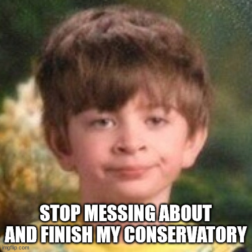 Annoyed face | STOP MESSING ABOUT AND FINISH MY CONSERVATORY | image tagged in annoyed face | made w/ Imgflip meme maker