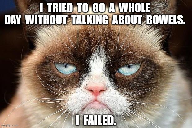 Nurses be like... | I  TRIED  TO  GO  A  WHOLE  DAY  WITHOUT  TALKING  ABOUT  BOWELS. I  FAILED. | image tagged in memes,grumpy cat not amused,grumpy cat,nursing,healthcare,funny | made w/ Imgflip meme maker