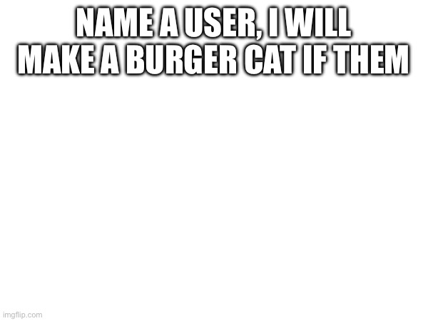 NAME A USER, I WILL MAKE A BURGER CAT IF THEM | made w/ Imgflip meme maker
