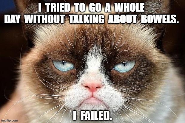 Not amused by bowel talk | image tagged in grumpy cat not amused,nursing,nurse,healthcare,poop,funny | made w/ Imgflip meme maker