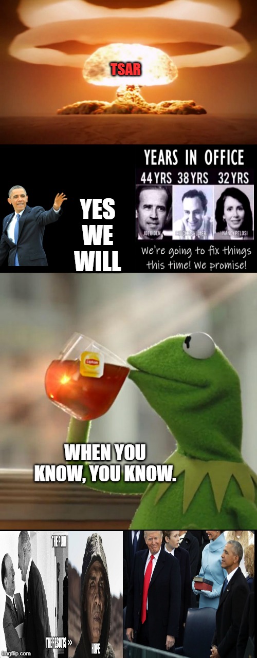 It's been planed for a very long time.Obama is the only PRES who could of done what he done & got away with it.THATS RACIST!!!! | TSAR; YES WE WILL; WHEN YOU KNOW, YOU KNOW. | image tagged in memes,but that's none of my business | made w/ Imgflip meme maker
