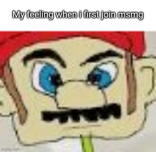 Kario | My feeling when i first join msmg | image tagged in kario | made w/ Imgflip meme maker