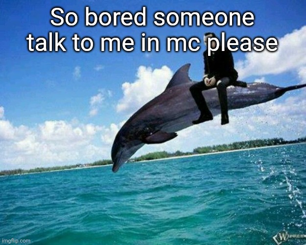 What the hell | So bored someone talk to me in mc please | image tagged in what the hell | made w/ Imgflip meme maker