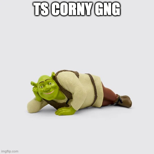 derpy sexy shrek | TS CORNY GNG | image tagged in derpy sexy shrek | made w/ Imgflip meme maker