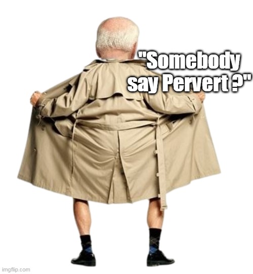 "Somebody say Pervert ?" | made w/ Imgflip meme maker