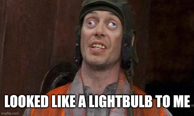 LOOKED LIKE A LIGHTBULB TO ME | image tagged in looks good to me | made w/ Imgflip meme maker