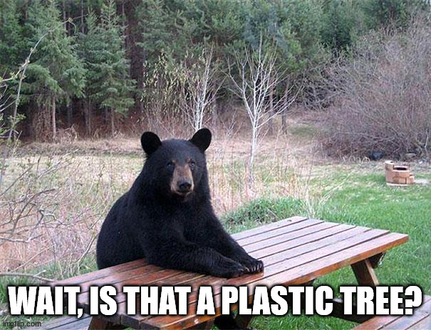 Patient Bear | WAIT, IS THAT A PLASTIC TREE? | image tagged in patient bear | made w/ Imgflip meme maker