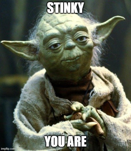 Star Wars Yoda | STINKY; YOU ARE | image tagged in memes,star wars yoda | made w/ Imgflip meme maker