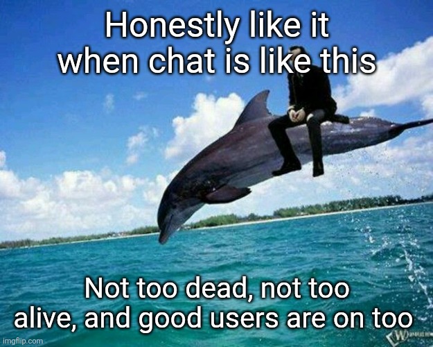 What the hell | Honestly like it when chat is like this; Not too dead, not too alive, and good users are on too | image tagged in what the hell | made w/ Imgflip meme maker