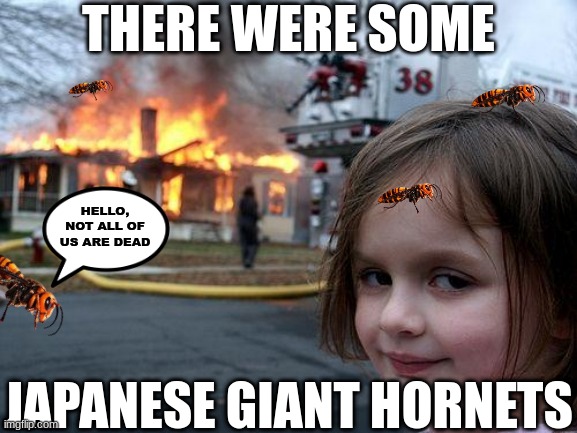 There still alive! | THERE WERE SOME; HELLO, NOT ALL OF US ARE DEAD; JAPANESE GIANT HORNETS | image tagged in memes,disaster girl | made w/ Imgflip meme maker
