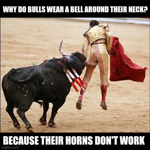 Consequences of Stupidity | WHY DO BULLS WEAR A BELL AROUND THEIR NECK? BECAUSE THEIR HORNS DON'T WORK | image tagged in consequences of stupidity | made w/ Imgflip meme maker
