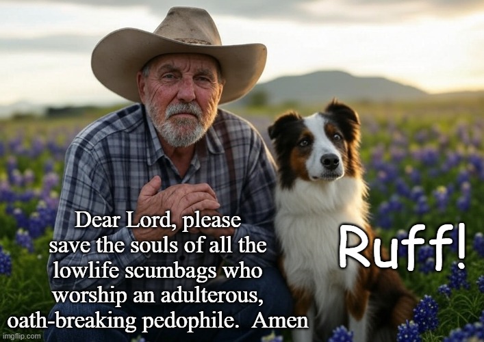 9tedf7.jpg