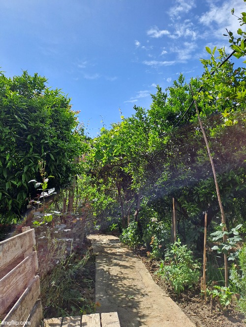 Weather's looking nice today. | made w/ Imgflip meme maker