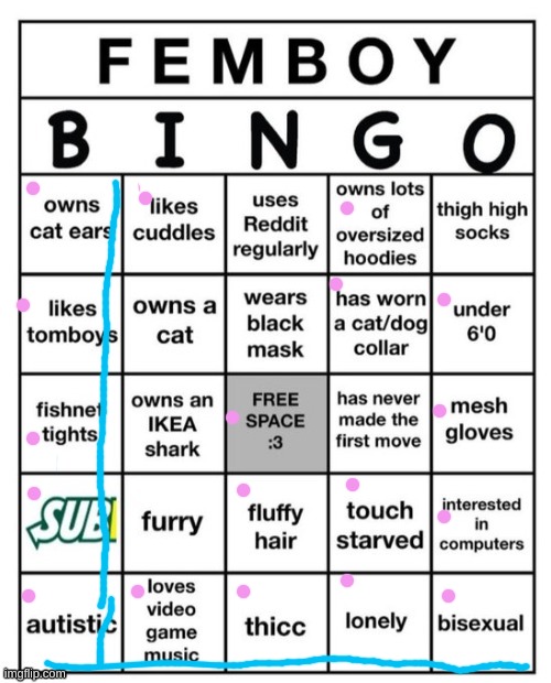 Femboy Bingo | image tagged in femboy bingo | made w/ Imgflip meme maker