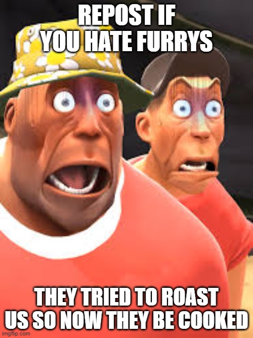 REPOST IF YOU HATE FURRYS; THEY TRIED TO ROAST US SO NOW THEY BE COOKED | image tagged in tf2 heavy,tf2 scout,anti-furry | made w/ Imgflip meme maker