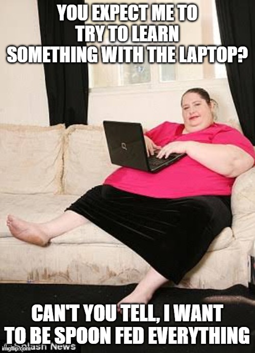 Fat woman on computer | YOU EXPECT ME TO TRY TO LEARN SOMETHING WITH THE LAPTOP? CAN'T YOU TELL, I WANT TO BE SPOON FED EVERYTHING | image tagged in fat woman on computer | made w/ Imgflip meme maker