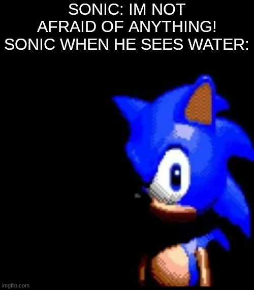 shiver me timbers | SONIC: IM NOT AFRAID OF ANYTHING!
SONIC WHEN HE SEES WATER: | image tagged in sonic stares,sonic,memes,gaming,sonic x | made w/ Imgflip meme maker