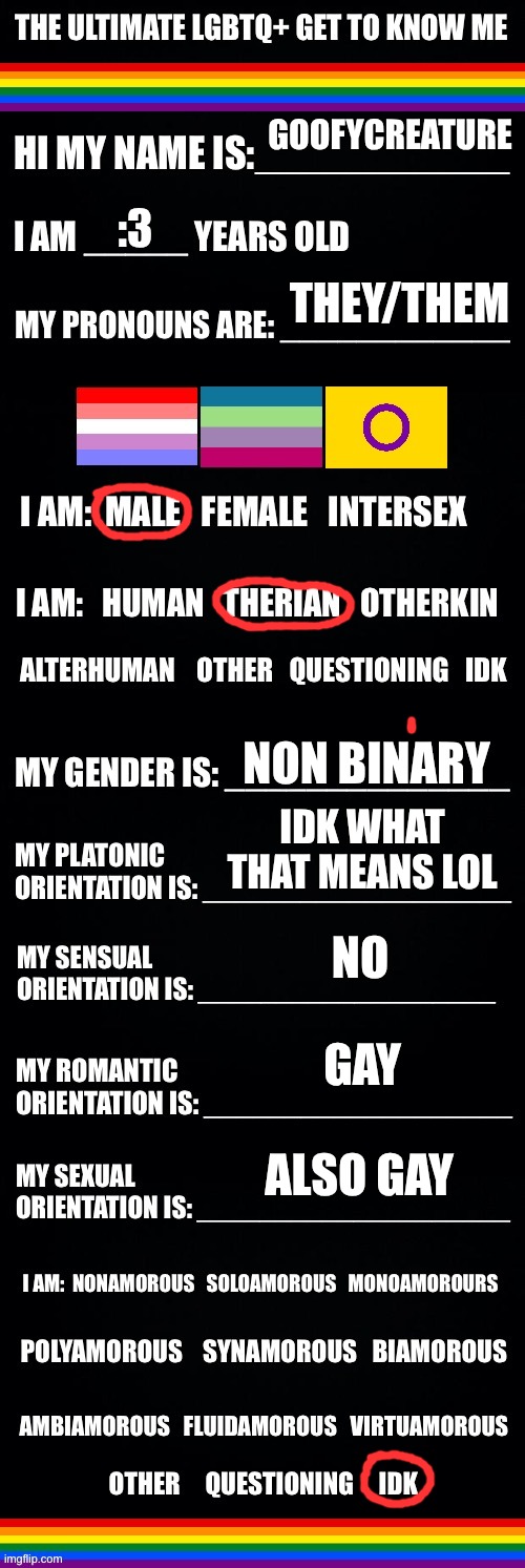 Hi guys!! First time posting here :3 | GOOFYCREATURE; :3; THEY/THEM; NON BINARY; IDK WHAT THAT MEANS LOL; NO; GAY; ALSO GAY | image tagged in the ultimate lgbtq get to know me | made w/ Imgflip meme maker