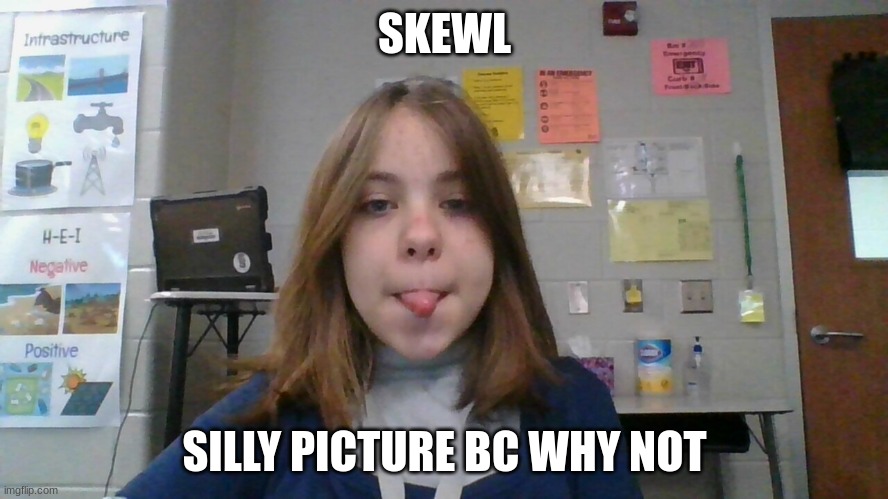 I h8 skewl | SKEWL; SILLY PICTURE BC WHY NOT | image tagged in face reveal | made w/ Imgflip meme maker