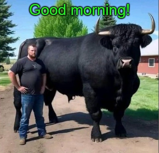 Good morning! | made w/ Imgflip meme maker