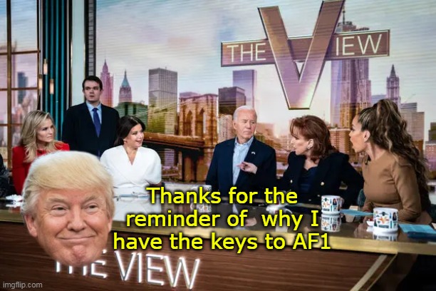 Dems wish he would go back to the beach where he spent his presidency | Thanks for the reminder of  why I have the keys to AF1 | image tagged in political poison binen the view meme | made w/ Imgflip meme maker