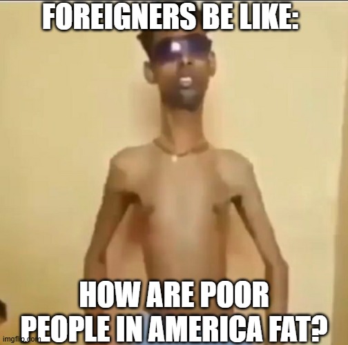 Skinny Indian Guy | FOREIGNERS BE LIKE: HOW ARE POOR PEOPLE IN AMERICA FAT? | image tagged in skinny indian guy | made w/ Imgflip meme maker