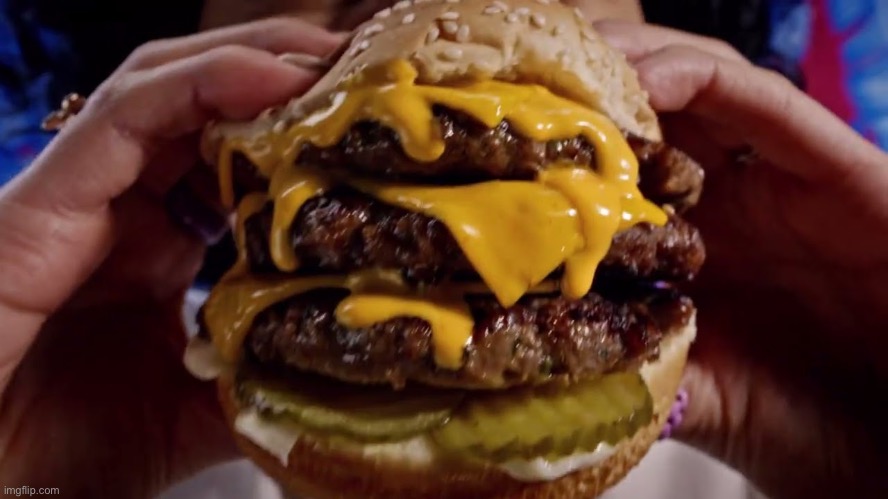 Burger food | image tagged in burger food | made w/ Imgflip meme maker