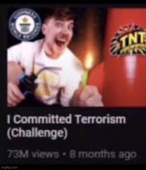 image tagged in mr beast commits terrorism | made w/ Imgflip meme maker