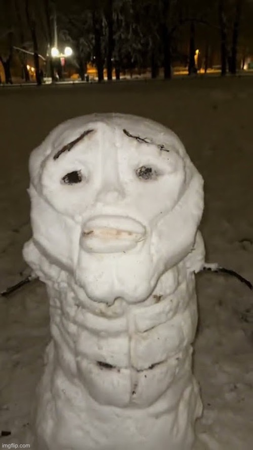 This snowman is literally me | made w/ Imgflip meme maker