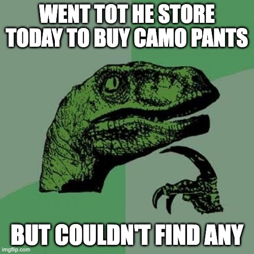 Dad Joke | WENT TOT HE STORE TODAY TO BUY CAMO PANTS; BUT COULDN'T FIND ANY | image tagged in memes,philosoraptor | made w/ Imgflip meme maker