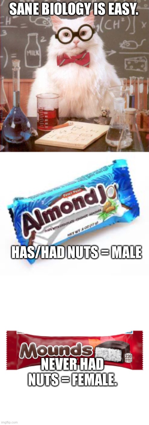 SANE BIOLOGY IS EASY. HAS/HAD NUTS = MALE; NEVER HAD NUTS = FEMALE. | image tagged in science cat,almond joy | made w/ Imgflip meme maker