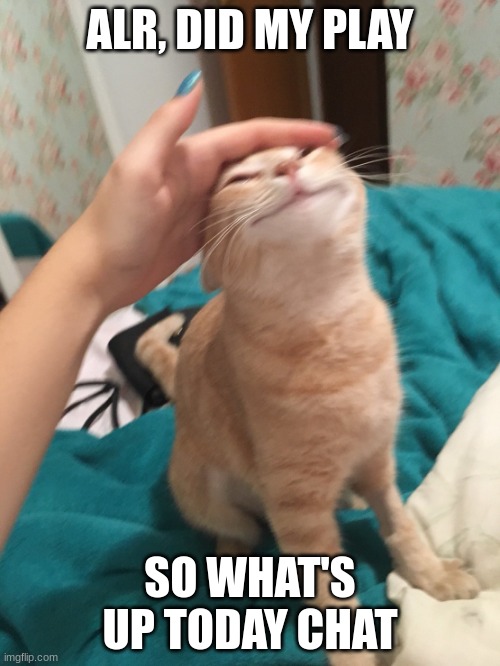 I DIDN'T DIE, YEAH!!!!! | ALR, DID MY PLAY; SO WHAT'S UP TODAY CHAT | image tagged in cat pat | made w/ Imgflip meme maker