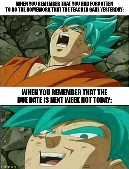 Dragon Ball Z | WHEN YOU REMEMBER THAT YOU HAD FORGOTTEN TO DO THE HOMEWORK THAT THE TEACHER GAVE YESTERDAY:; WHEN YOU REMEMBER THAT THE DUE DATE IS NEXT WEEK NOT TODAY: | image tagged in memes,homework,goku | made w/ Imgflip meme maker