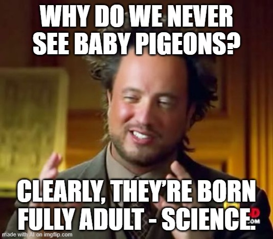 Ancient Aliens | WHY DO WE NEVER SEE BABY PIGEONS? CLEARLY, THEY’RE BORN FULLY ADULT - SCIENCE. | image tagged in memes,ancient aliens | made w/ Imgflip meme maker