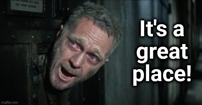 Papillon | It's a
great
place! | image tagged in papillon | made w/ Imgflip meme maker
