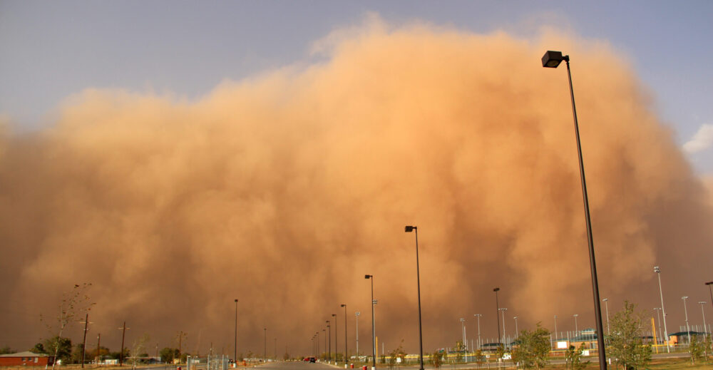 SANDSTORM Blank Meme Template