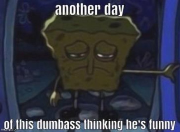 another day of this dumbass | image tagged in another day of this dumbass | made w/ Imgflip meme maker