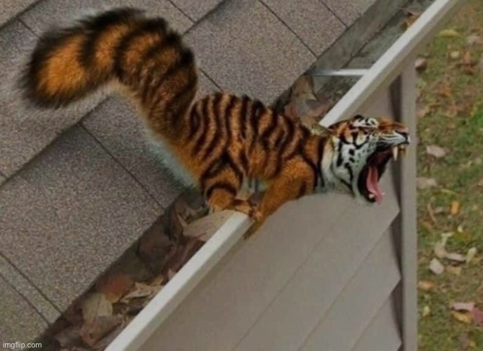 I should stop feeding the squirrels Frosted Flakes | image tagged in frosted flakes | made w/ Imgflip meme maker