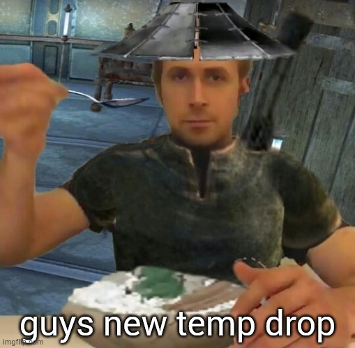kenshi guy | guys new temp drop | image tagged in kenshi guy | made w/ Imgflip meme maker