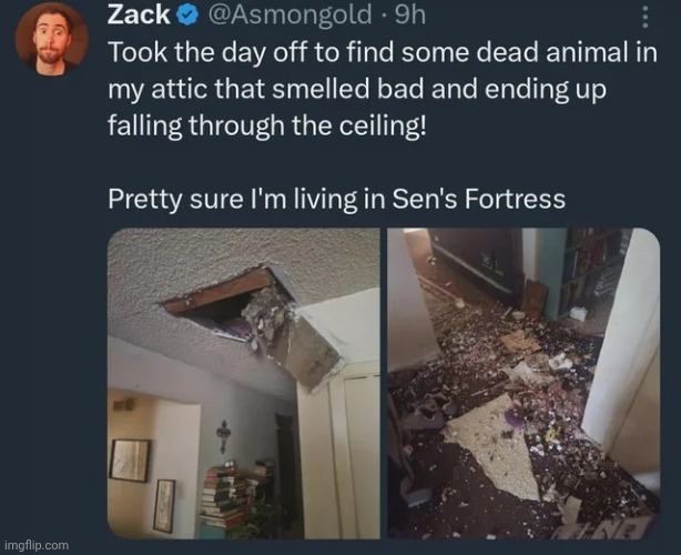 image tagged in memes,msmg,shitpost | made w/ Imgflip meme maker