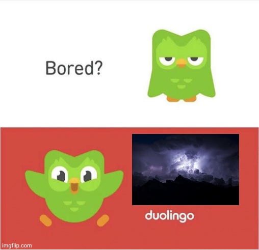 familiar background ig | image tagged in duolingo bored | made w/ Imgflip meme maker