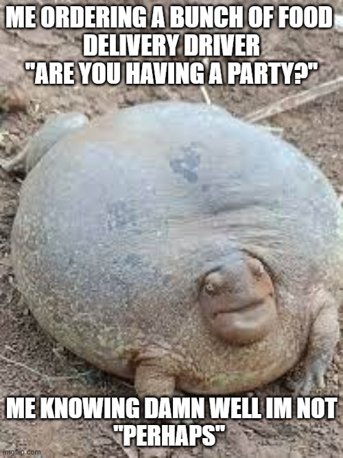 FACTS | ME ORDERING A BUNCH OF FOOD 
DELIVERY DRIVER "ARE YOU HAVING A PARTY?"; ME KNOWING DAMN WELL IM NOT
"PERHAPS" | image tagged in fat turtle,meme | made w/ Imgflip meme maker
