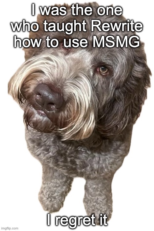 Norther's dog | I was the one who taught Rewrite how to use MSMG; I regret it | image tagged in norther's dog | made w/ Imgflip meme maker