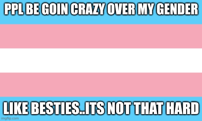I swear these transphobes | PPL BE GOIN CRAZY OVER MY GENDER; LIKE BESTIES..ITS NOT THAT HARD | image tagged in trans flag | made w/ Imgflip meme maker