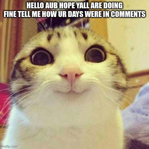 how are y'all's doins | HELLO AUB HOPE YALL ARE DOING FINE TELL ME HOW UR DAYS WERE IN COMMENTS | image tagged in memes,smiling cat | made w/ Imgflip meme maker