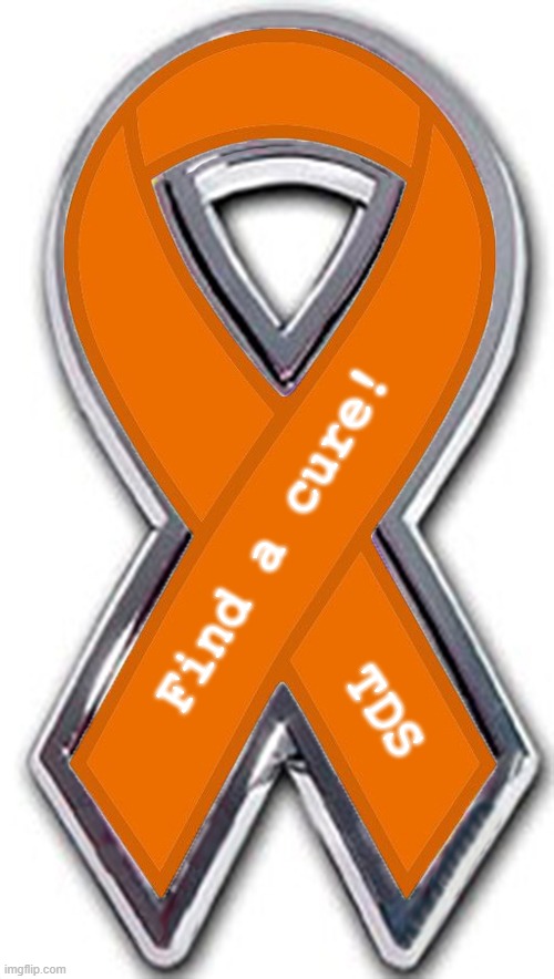 May is TDS awareness month.  Help us find a cure! | Find a cure! TDS | image tagged in tds | made w/ Imgflip meme maker