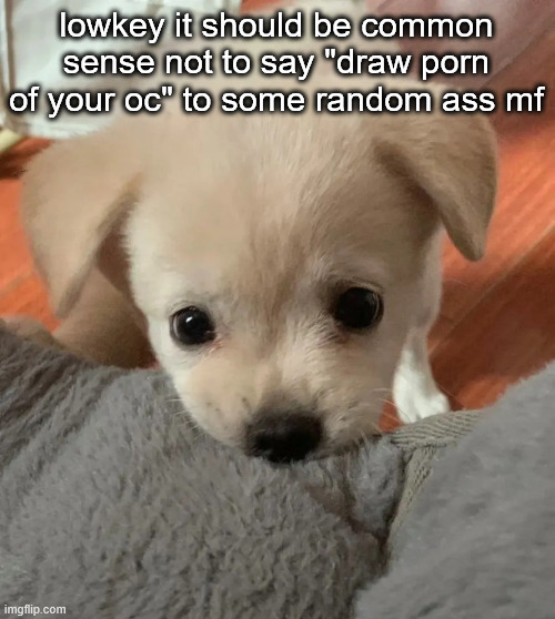 if you see an oc and the first thing you think is "the creator should draw porn of them!" then die | lowkey it should be common sense not to say "draw porn of your oc" to some random ass mf | image tagged in hi | made w/ Imgflip meme maker
