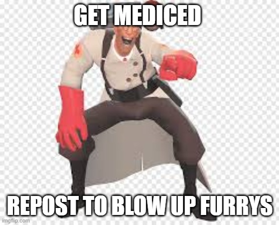 GET MEDICED; REPOST TO BLOW UP FURRYS | image tagged in anti furry,tf2 medic | made w/ Imgflip meme maker