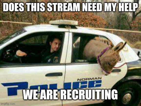 Donkey in Police Car | DOES THIS STREAM NEED MY HELP; WE ARE RECRUITING | image tagged in donkey in police car | made w/ Imgflip meme maker
