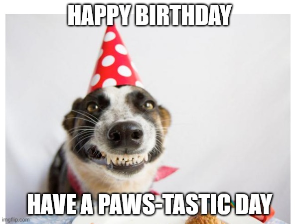 Happy Birthday Dog | HAPPY BIRTHDAY; HAVE A PAWS-TASTIC DAY | made w/ Imgflip meme maker
